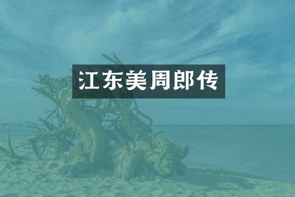 江东美周郎传