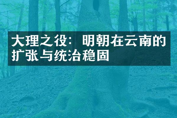 大理之役：明朝在云南的扩张与统治稳固