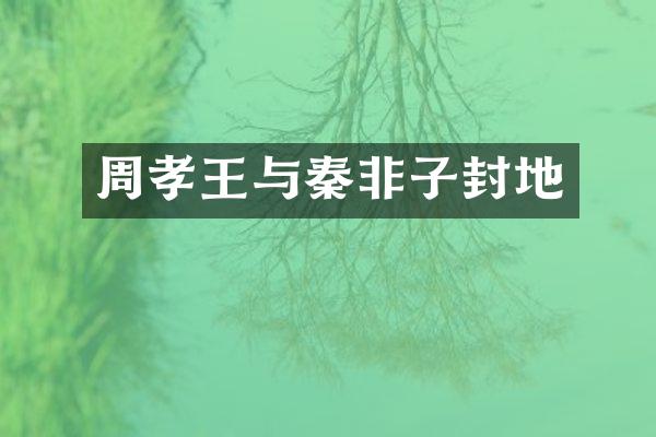 周孝王与秦非子封地
