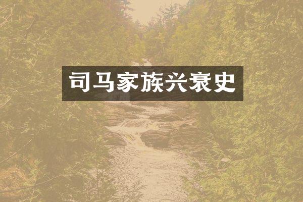 司马家族兴衰史