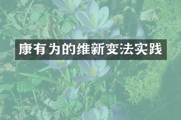 康有为的维新变法实践