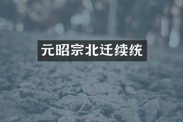 元昭宗北迁续统
