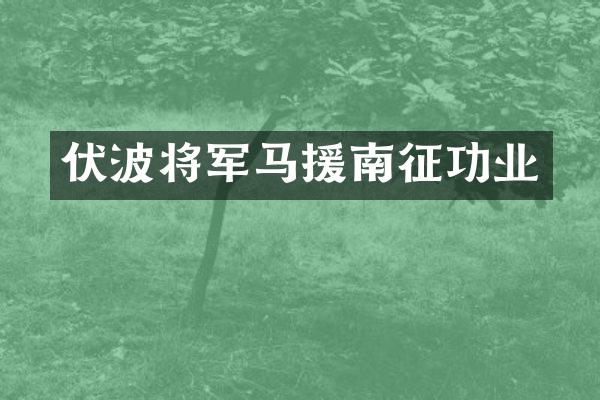 伏波将军马援南征功业