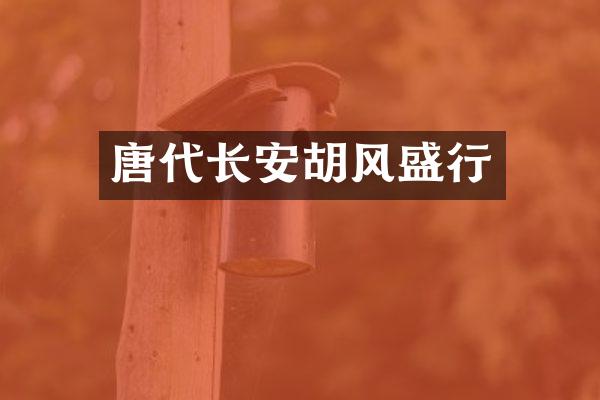 唐代长安胡风盛行