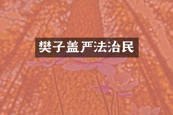 樊子盖严法治民