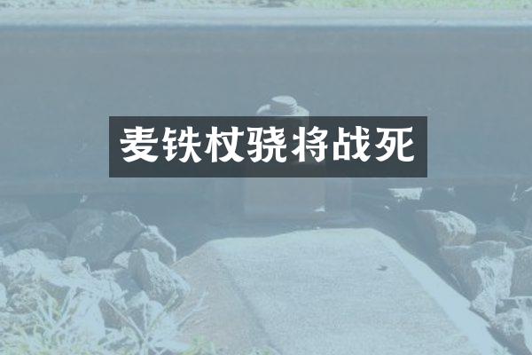 麦铁杖骁将战死