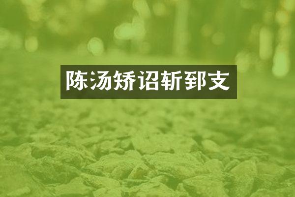 陈汤矫诏斩郅支