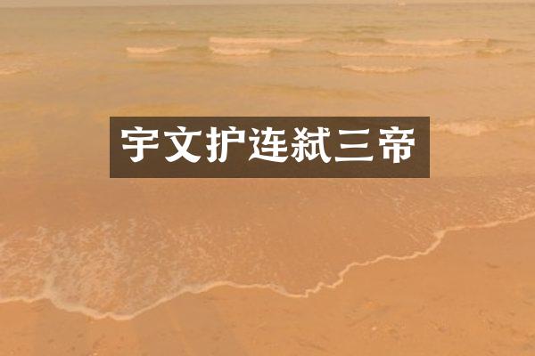 宇文护连弑三帝
