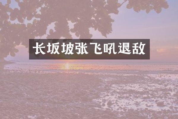 长坂坡张飞吼退敌
