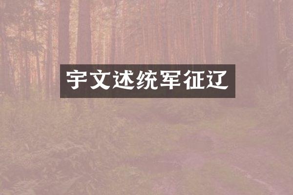 宇文述统军征辽
