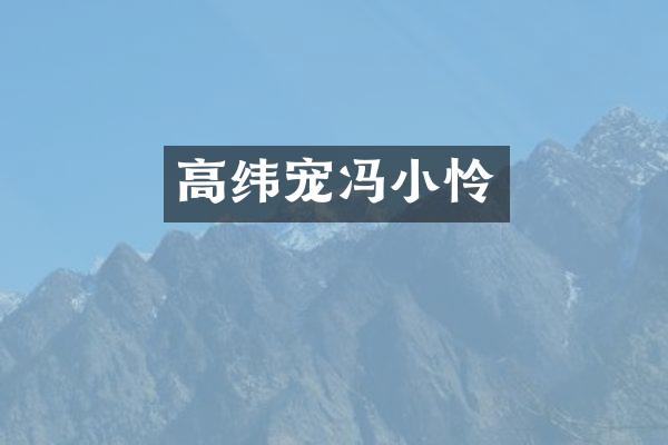 高纬宠冯小怜