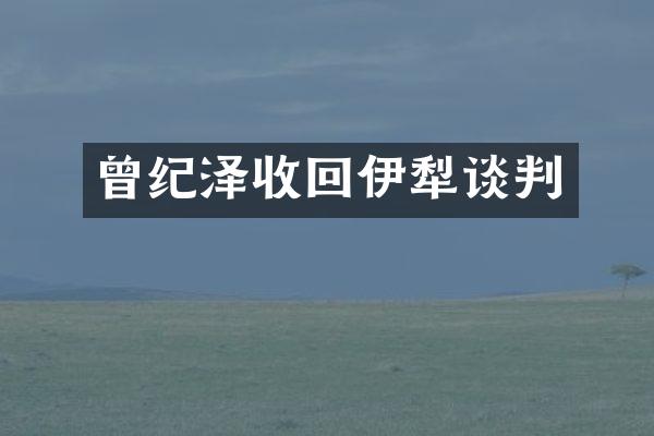 曾纪泽收回伊犁谈判