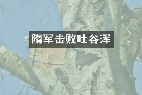 隋军击败吐谷浑