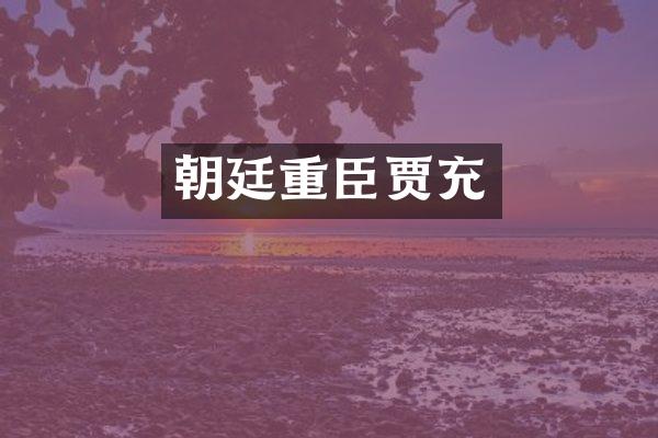 朝廷重臣贾充