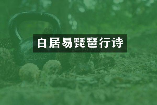 白居易琵琶行诗