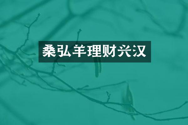 桑弘羊理财兴汉