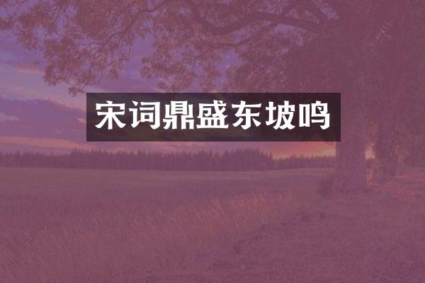 宋词鼎盛东坡鸣