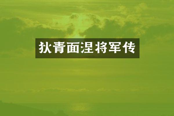 狄青面涅将军传