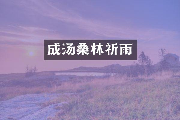 成汤桑林祈雨