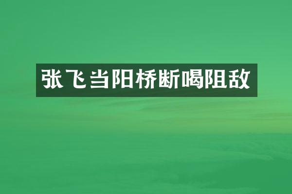 张飞当阳桥断喝阻敌