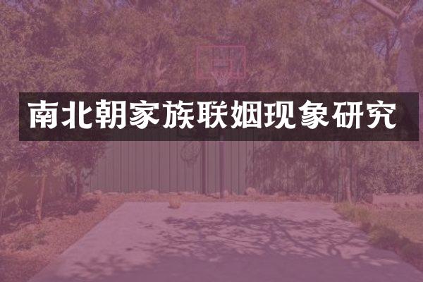 南北朝家族联姻现象研究