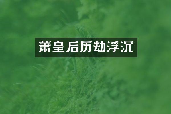 萧皇后历劫浮沉