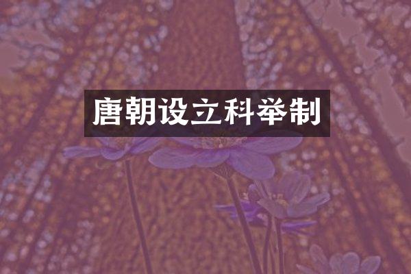 唐朝设立科举制
