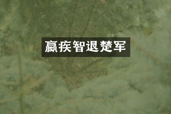 嬴疾智退楚军
