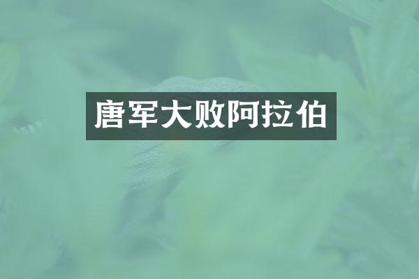 唐军大败阿拉伯