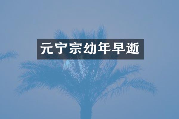 元宁宗幼年早逝