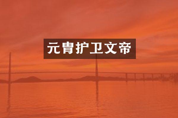 元胄护卫文帝