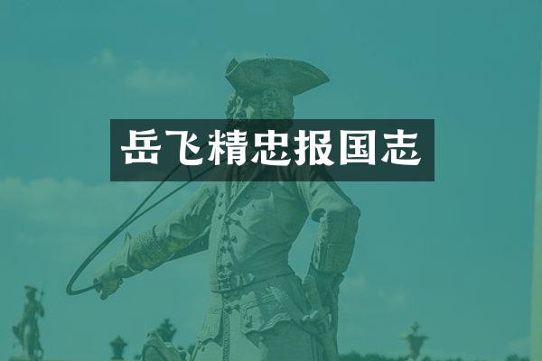 岳飞精忠报国志