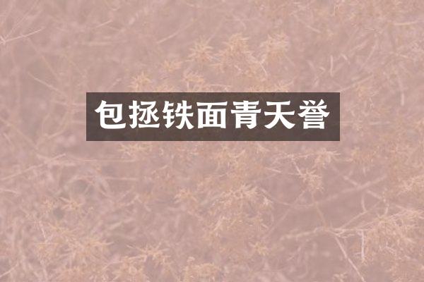 包拯铁面青天誉