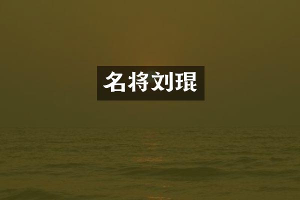 名将刘琨
