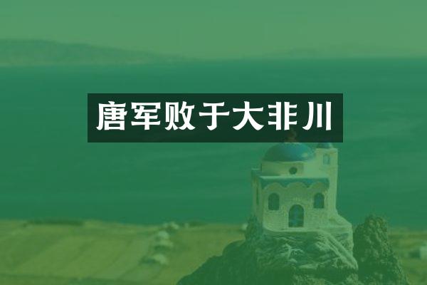 唐军败于大非川