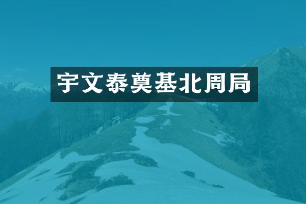宇文泰奠基北周局