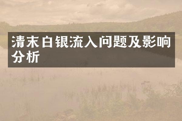 清末白银流入问题及影响分析