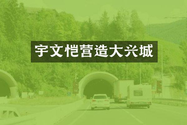宇文恺营造大兴城