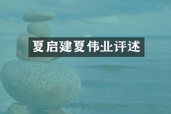 夏启建夏伟业评述