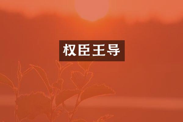 权臣王导