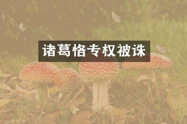 诸葛恪专权被诛