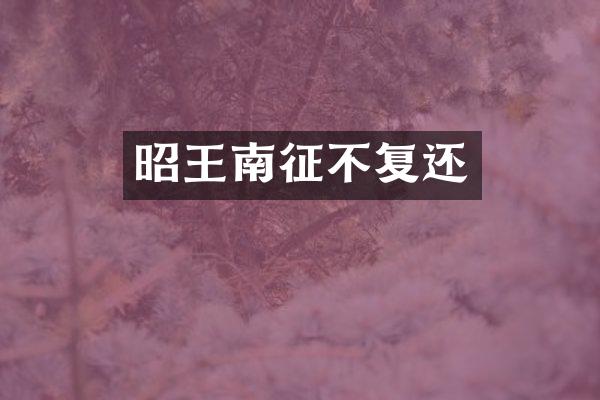 昭王南征不复还