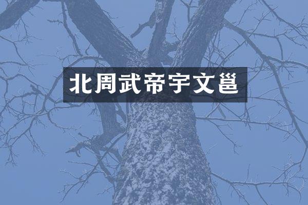 北周武帝宇文邕