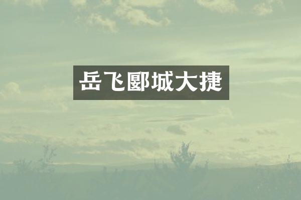 岳飞郾城大捷