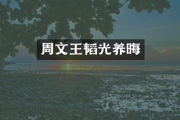 周文王韬光养晦