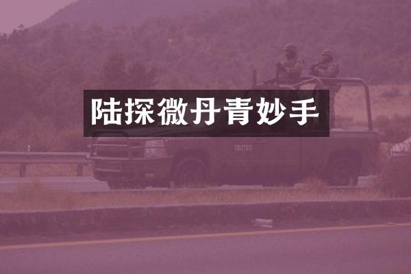 陆探微丹青妙手