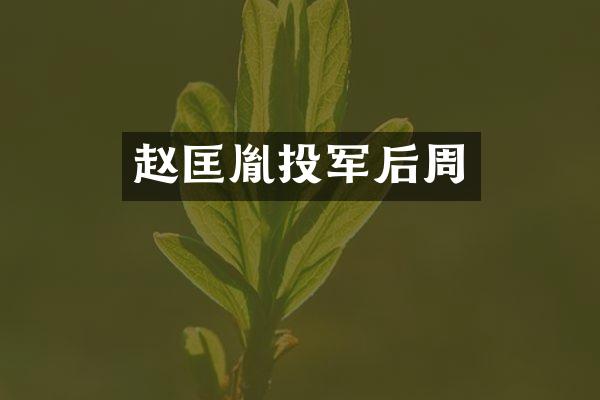 赵匡胤投军后周