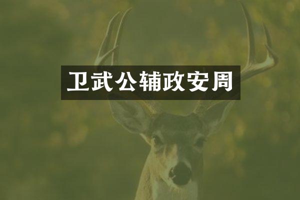卫武公辅政安周