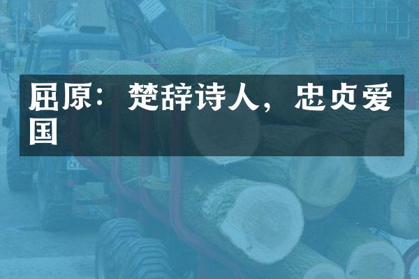 屈原：楚辞诗人，忠贞爱国
