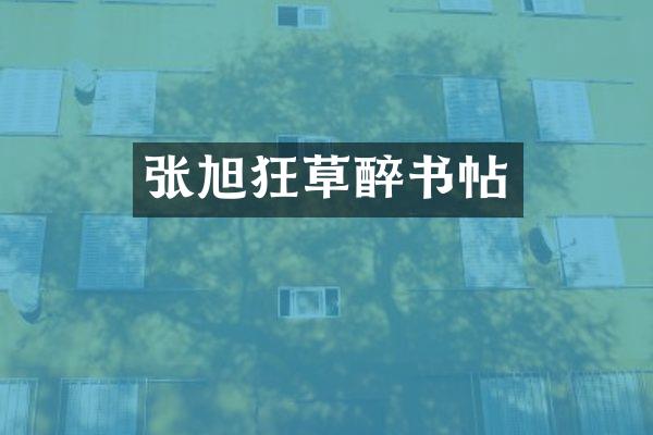 张旭狂草醉书帖